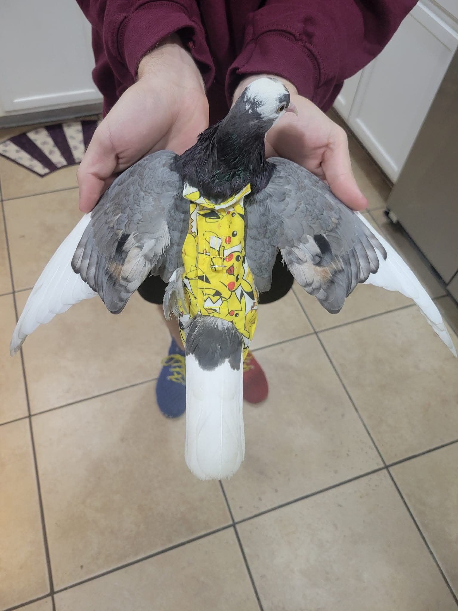 Pigeon wearing a Pikachu diaper with wings spread