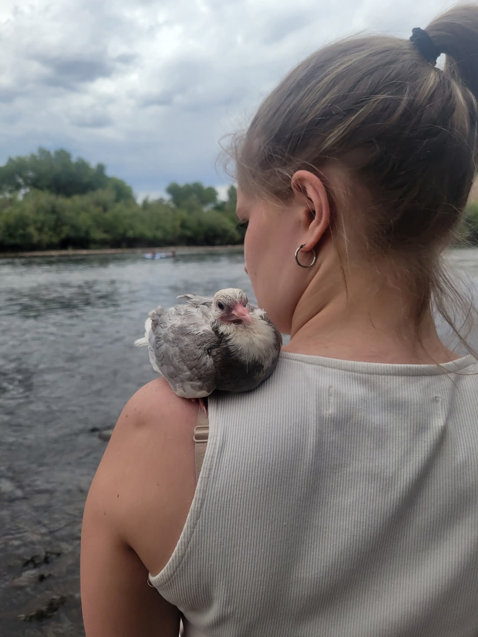 Pigeon resting on a woman's shoulder by a river